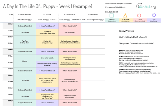 Puppy Training Day Planner Workbook Template Mindful Dog