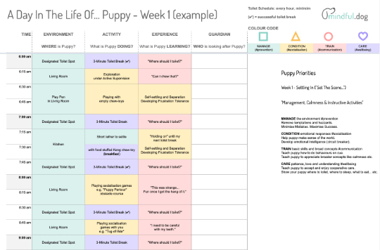 puppy training program pdf